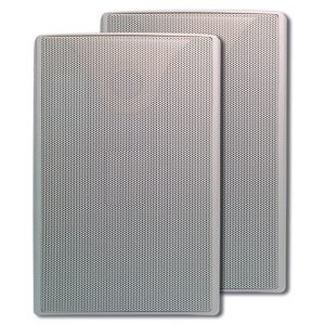 Two rectangular, silver Forte A-BUS ABP-W5 Passive Outdoor Speakers with perforated metal grills, slightly overlapping each other, displayed against a plain background—perfect as a sleek and modern outdoor speaker solution.