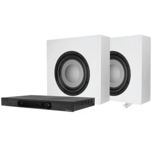 Tru Audio T-10WT-PAK In-Room Subwoofer