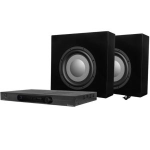 Tru Audio T-10BK-2PAK In-Room Subwoofer