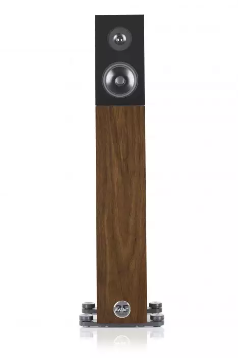 Audio Physic Avanti 35 Floor Standing Speaker Audio physic avanti 35 floor standing speaker - image 4