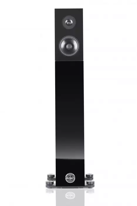 Audio Physic Avanti 35 Floor Standing Speaker Audio physic avanti 35 floor standing speaker - image 5